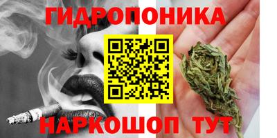 PSILOCYBIN Гай
