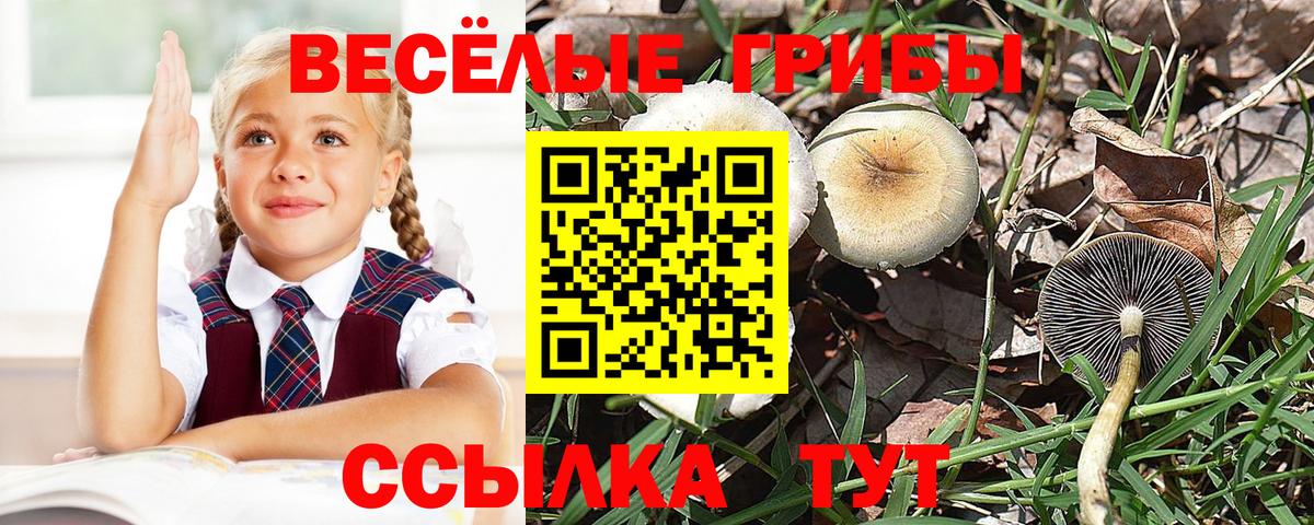 Галлюциногенные грибы мицелий Гатчина